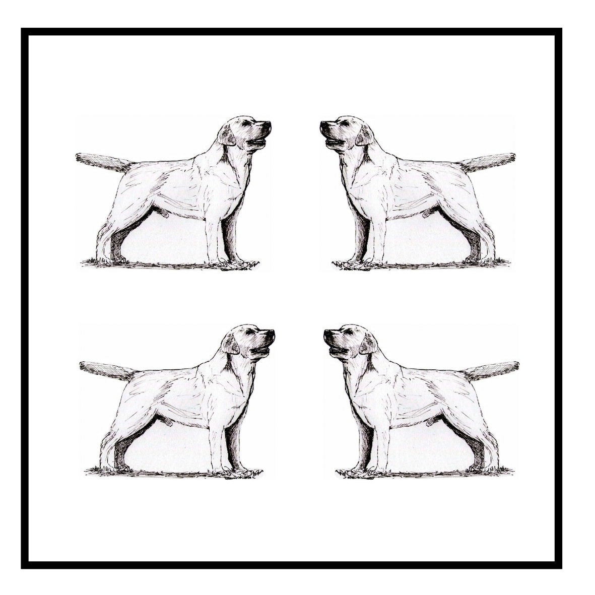 Labrador Retriever Greeting Card Choice of 6 Designs BIRTHDAY, THINKING OF YOU, BLANK