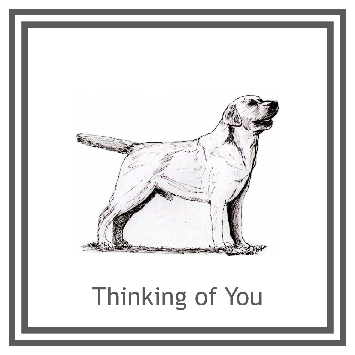 Labrador Retriever Greeting Card Choice of 6 Designs BIRTHDAY, THINKING OF YOU, BLANK