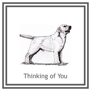 Labrador Retriever Greeting Card Choice of 6 Designs BIRTHDAY, THINKING OF YOU, BLANK