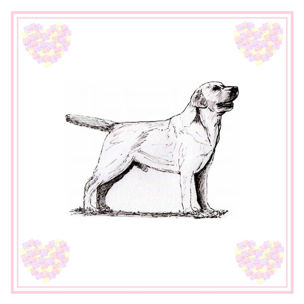 Labrador Retriever Greeting Card Choice of 6 Designs BIRTHDAY, THINKING OF YOU, BLANK