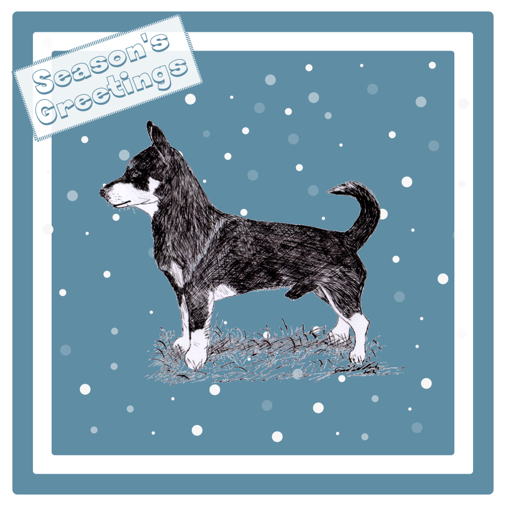 Lancashire Heeler Christmas Card Choice of 3 Card Designs Single or Multi Pack