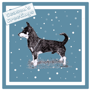 Lancashire Heeler Christmas Card Choice of 3 Card Designs Single or Multi Pack