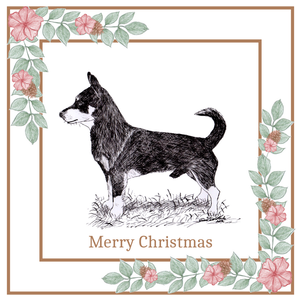 Lancashire Heeler Christmas Card Choice of 3 Card Designs Single or Multi Pack