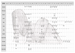 Lhasa Apso Dog Show 2022 Year Planner A4