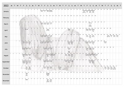 Lhasa Apso Dog Show 2022 Year Planner A4