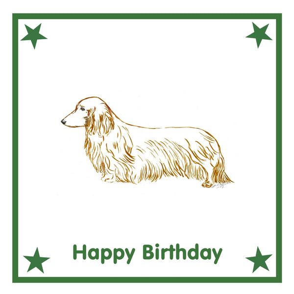 Dachshund L/H Greeting Card Choice of 6 Designs BIRTHDAY, THINKING OF YOU, BLANK