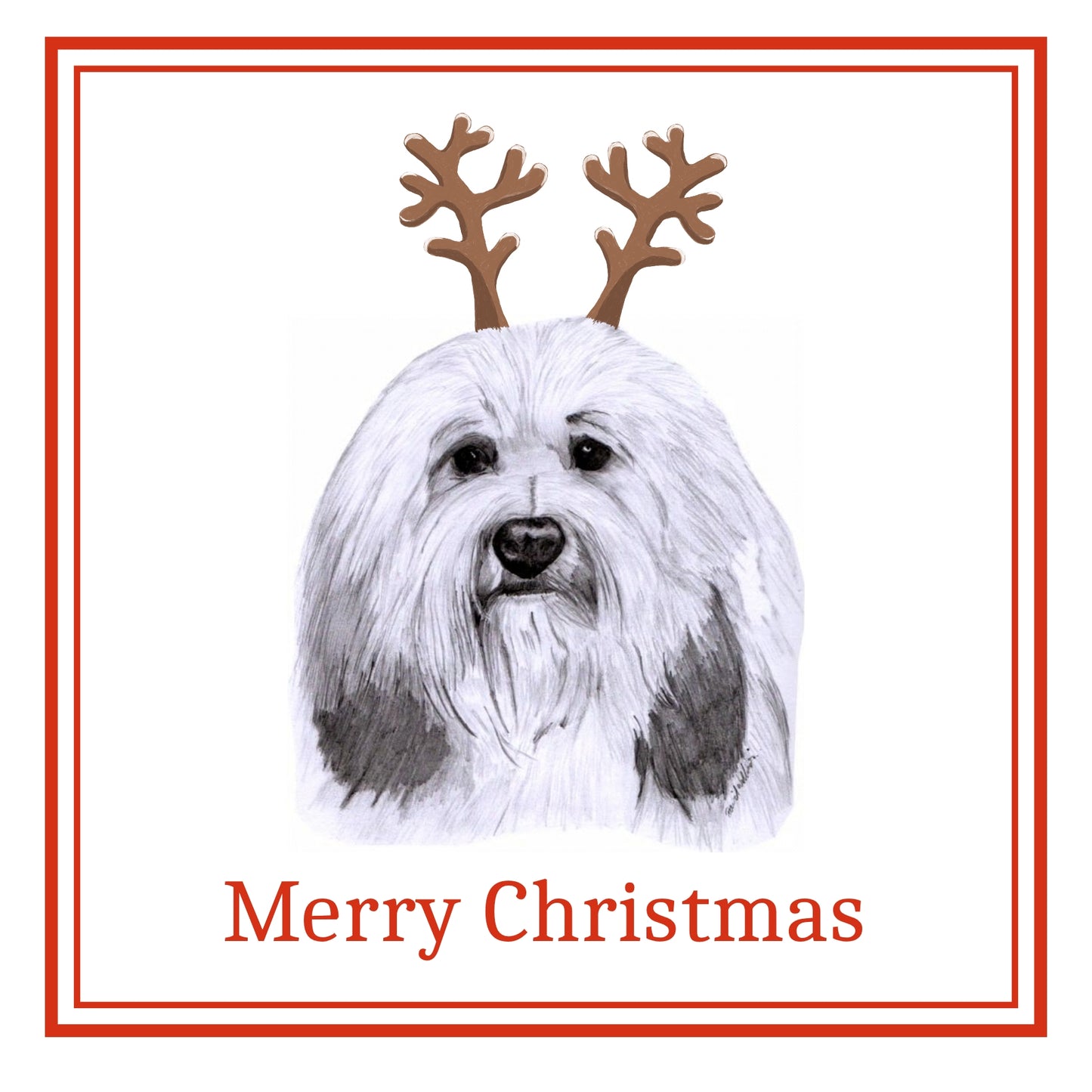 Lowchen Christmas Cards Pack of 6
