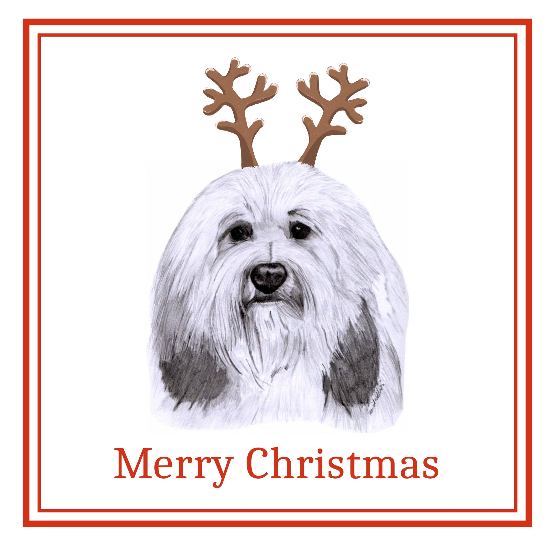 PBGV Christmas Cards Pack of 6