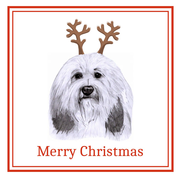 PBGV Christmas Cards Pack of 6