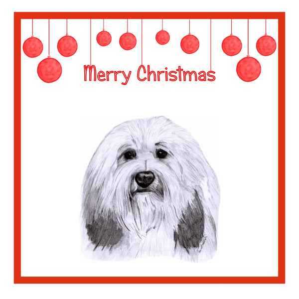 PBGV Christmas Cards Pack of 6