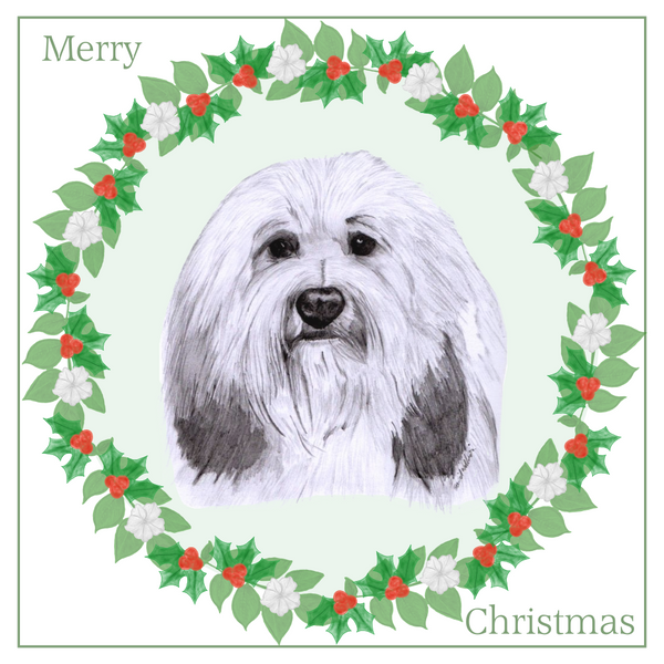 Lowchen Christmas Card Choice of 3 Card Designs Single or Multi Pack