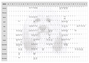 Lowchen Dog Show 2022 Year Planner A4