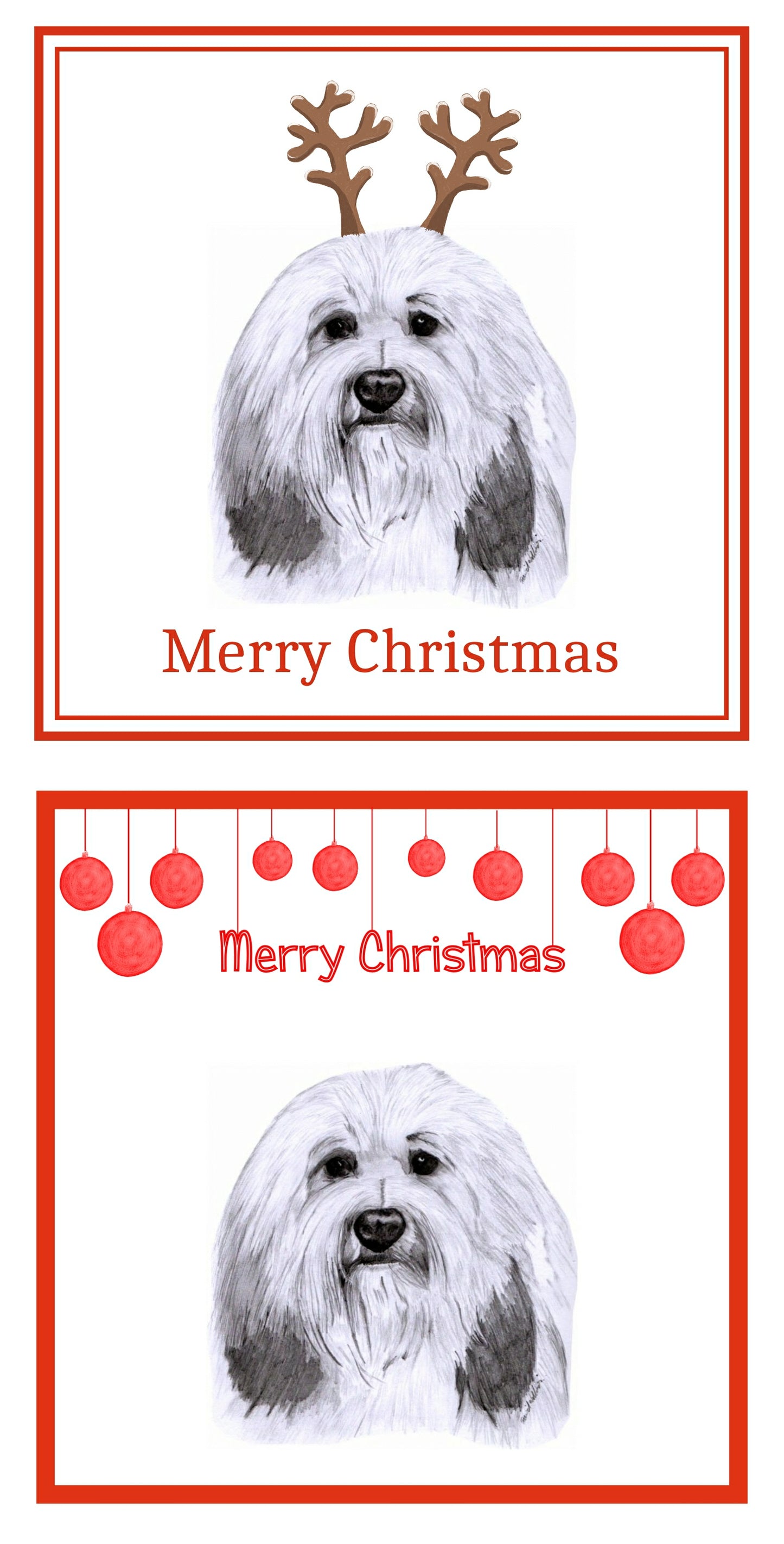Lowchen Christmas Cards Pack of 6