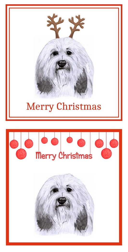 PBGV Christmas Cards Pack of 6