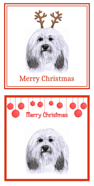 PBGV Christmas Cards Pack of 6