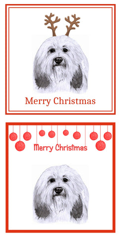 PBGV Christmas Cards Pack of 6