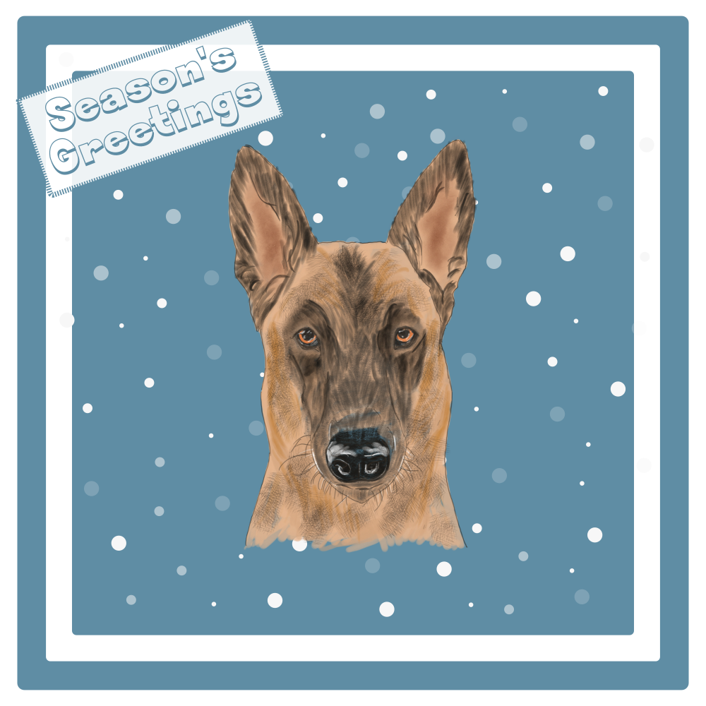 Belgian Shepherd Dog (Malinois) Christmas Card Choice of 3 Card Designs Single or Multi Pack