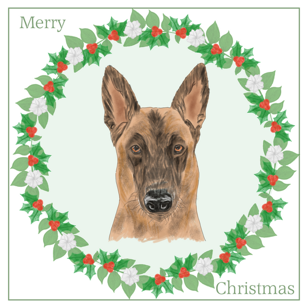 Belgian Shepherd Dog (Malinois) Christmas Card Choice of 3 Card Designs Single or Multi Pack