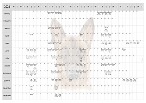 Neapolitan Mastiff Dog Show 2022 Year Planner A4