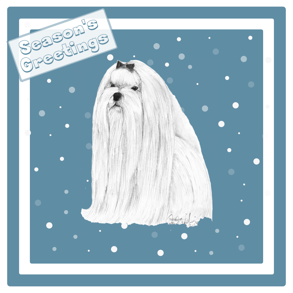 Maltese Christmas Card Choice of 3 Card Designs Single or Multi Pack