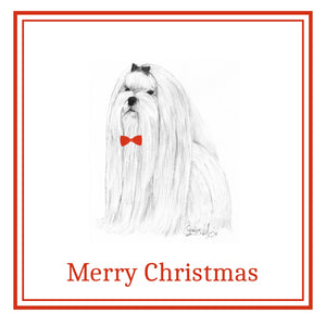 Maltese Christmas Card Choice of 3