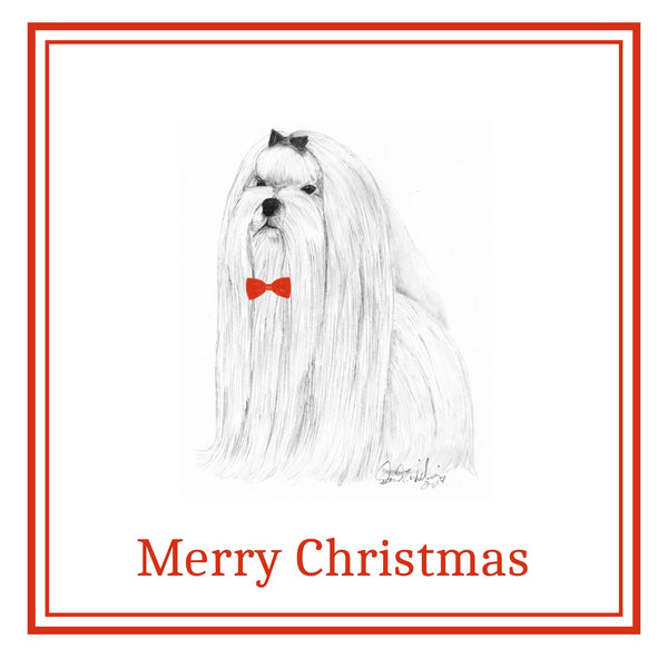 Maltese Christmas Card Choice of 3