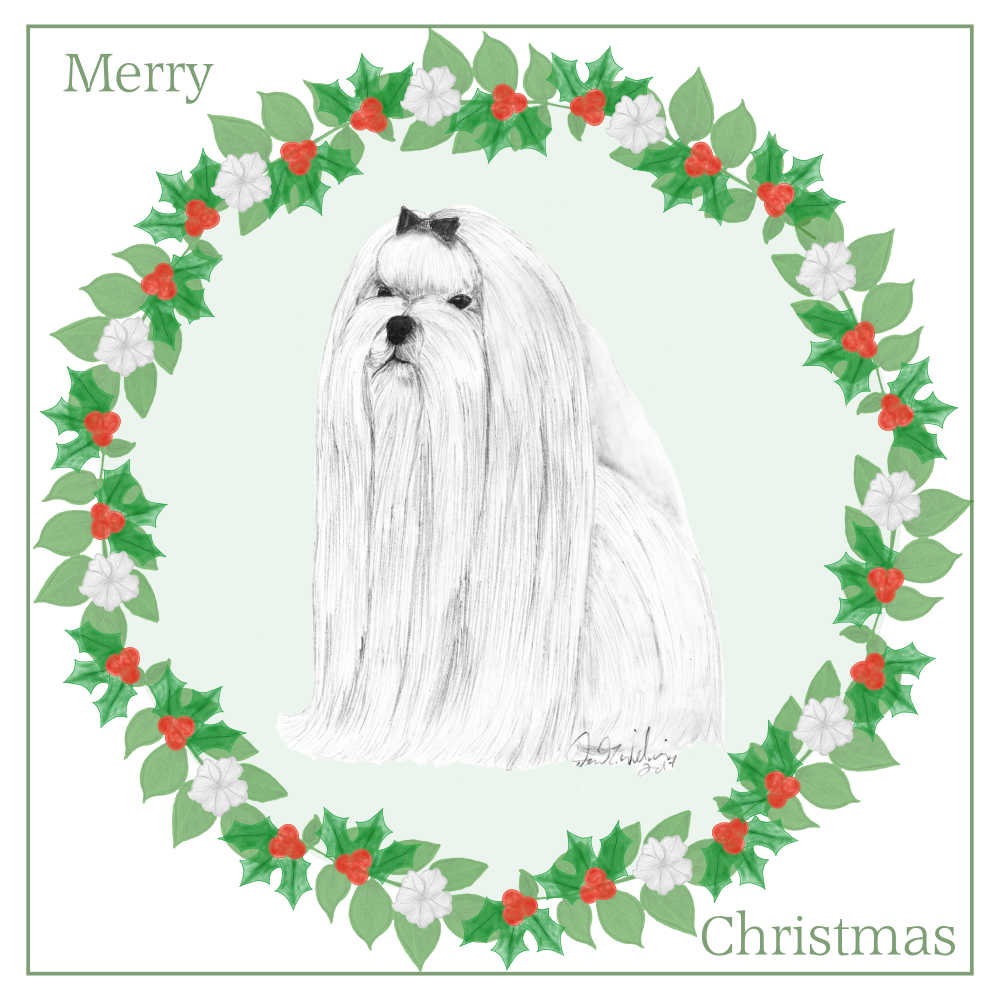 Maltese Christmas Card Choice of 3 Card Designs Single or Multi Pack