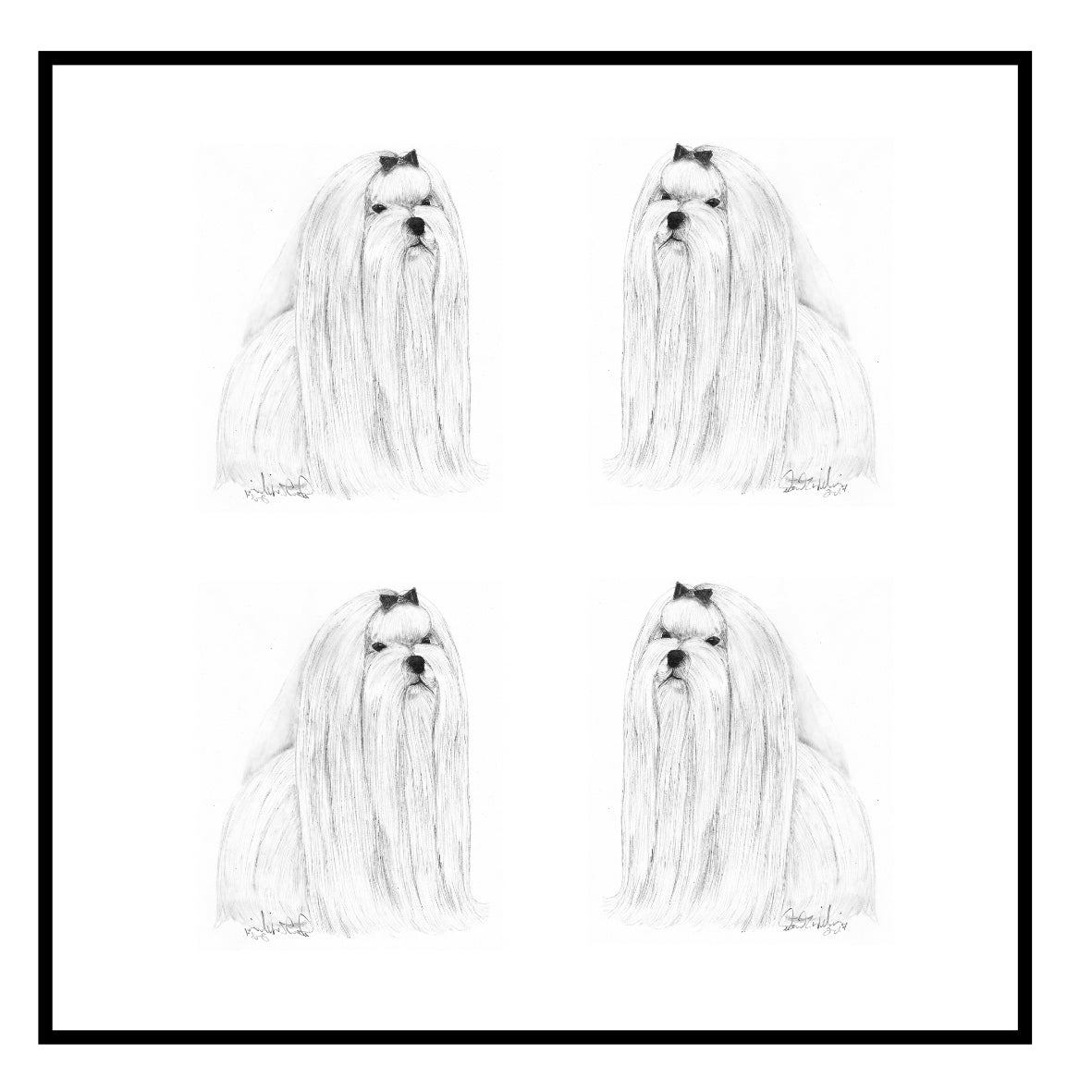 Maltese Greeting Card Choice of 6 Designs BIRTHDAY, THINKING OF YOU, BLANK