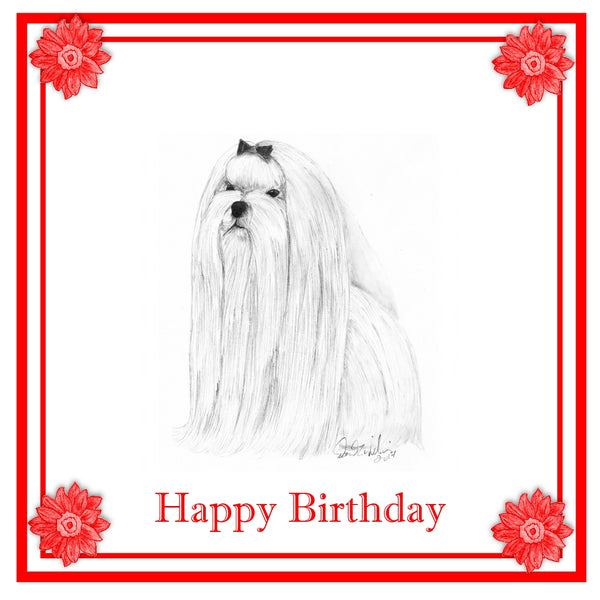 Maltese Greeting Card Choice of 6 Designs BIRTHDAY, THINKING OF YOU, BLANK