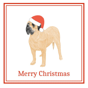 Mastiff Christmas Cards Pack of 6