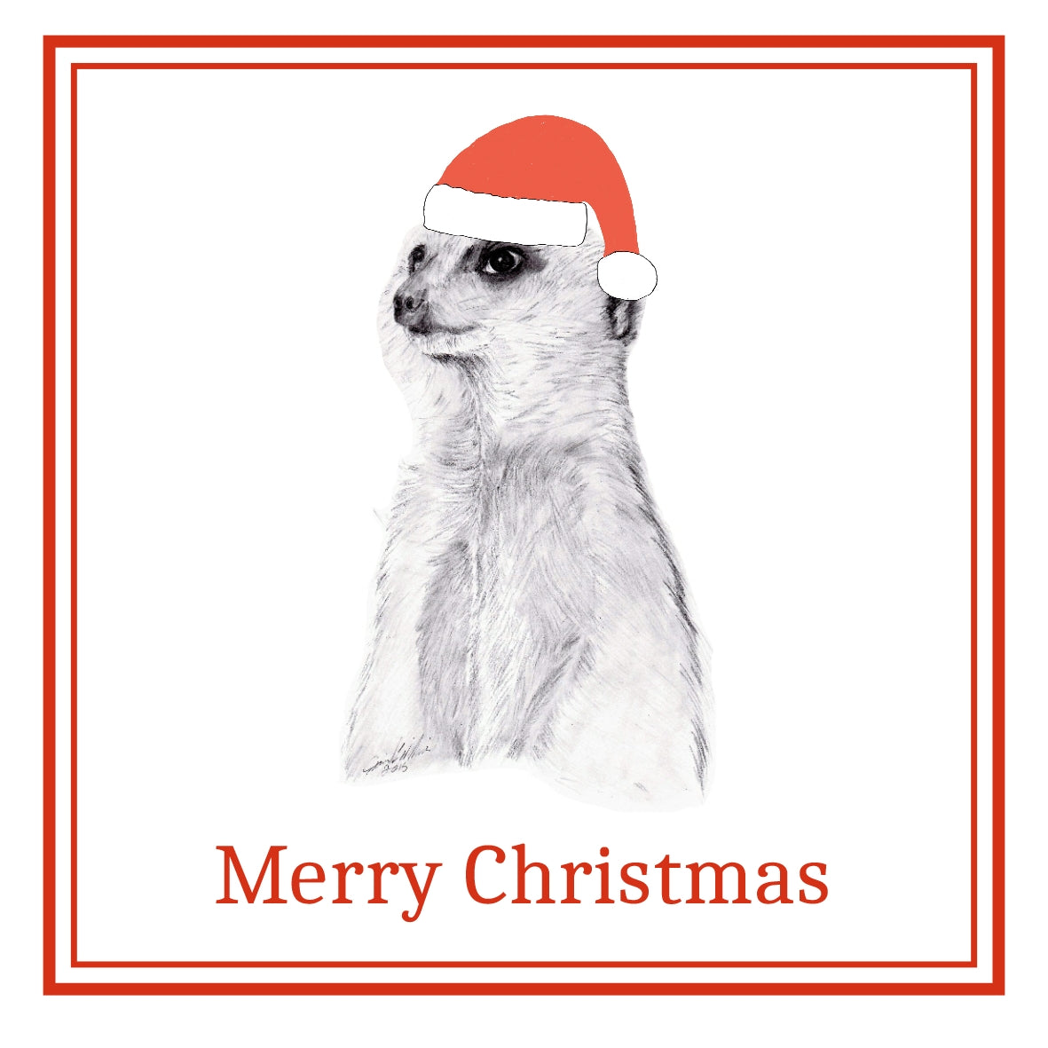 Meerkat Christmas Cards Pack of 6