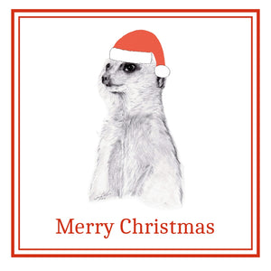 Meerkat Christmas Cards Pack of 6