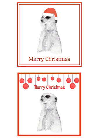 Meerkat Christmas Cards Pack of 6