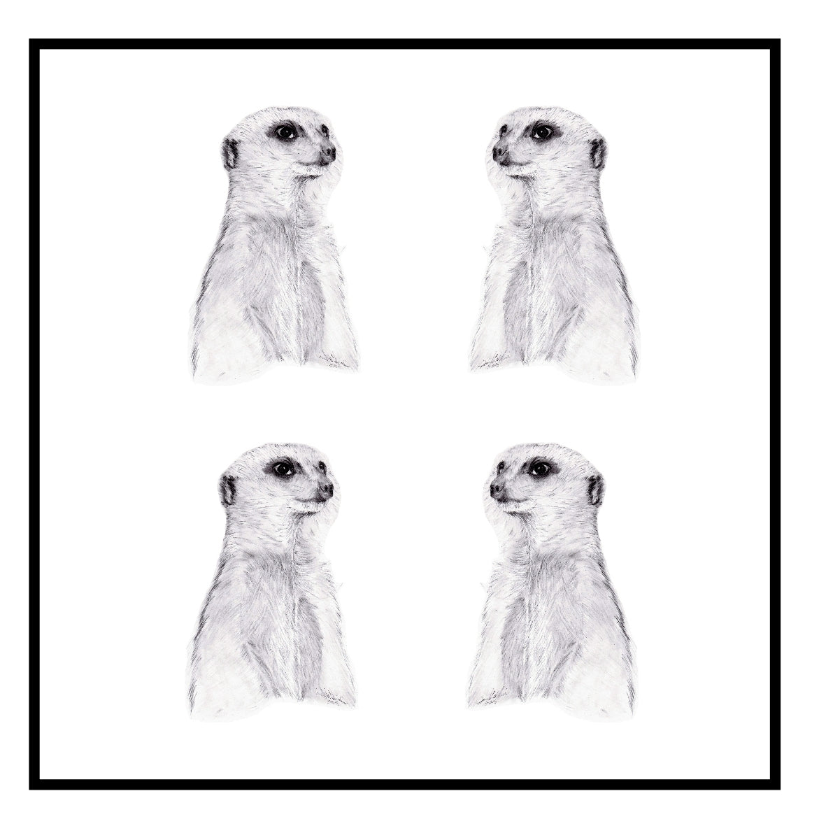 Meerkat Greeting Card Choice of 6 Designs BIRTHDAY, THINKING OF YOU, BLANK
