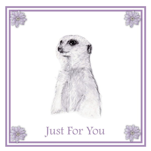 Meerkat Greeting Card Choice of 6 Designs BIRTHDAY, THINKING OF YOU, BLANK