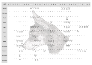 Miniature Pinscher Dog Show 2022 Year Planner A4