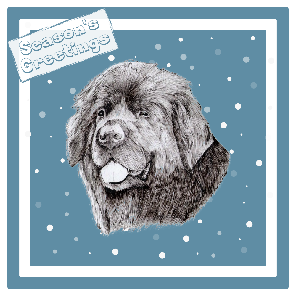 Newfoundland Newfie Christmas Card Choice of 3 Card Designs Single or Multi Pack