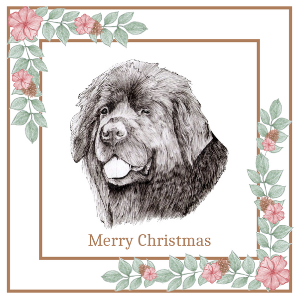 Newfoundland Newfie Christmas Card Choice of 3 Card Designs Single or Multi Pack