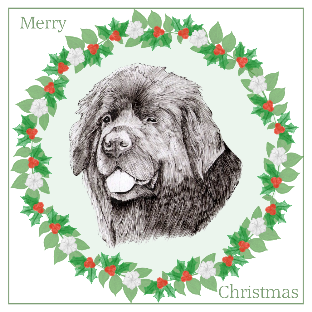 Newfoundland Newfie Christmas Card Choice of 3 Card Designs Single or Multi Pack