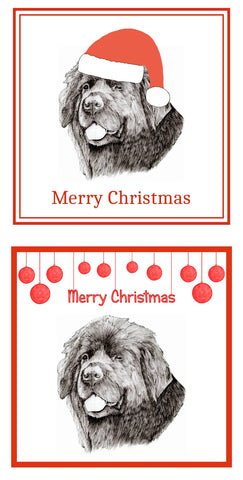 Newfoundland Christmas Cards Pack of 6