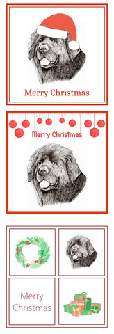 Newfoundland Christmas Card Choice of 3