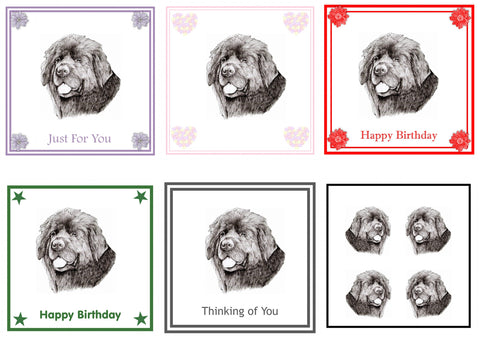 Newfoundland Greeting Card Choice of 6 Designs BIRTHDAY, THINKING OF YOU, BLANK