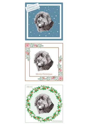 Newfoundland Newfie Christmas Card Choice of 3 Card Designs Single or Multi Pack