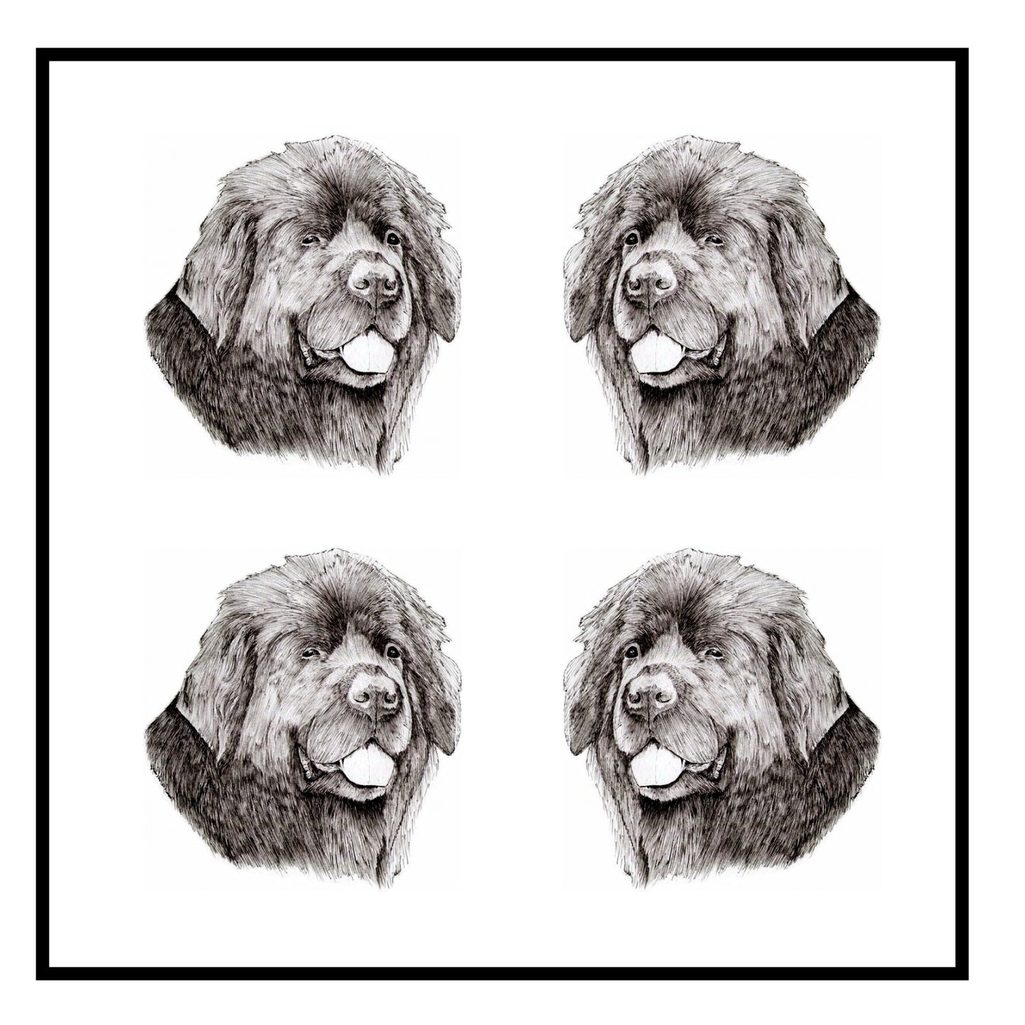 Newfoundland Greeting Card Choice of 6 Designs BIRTHDAY, THINKING OF YOU, BLANK
