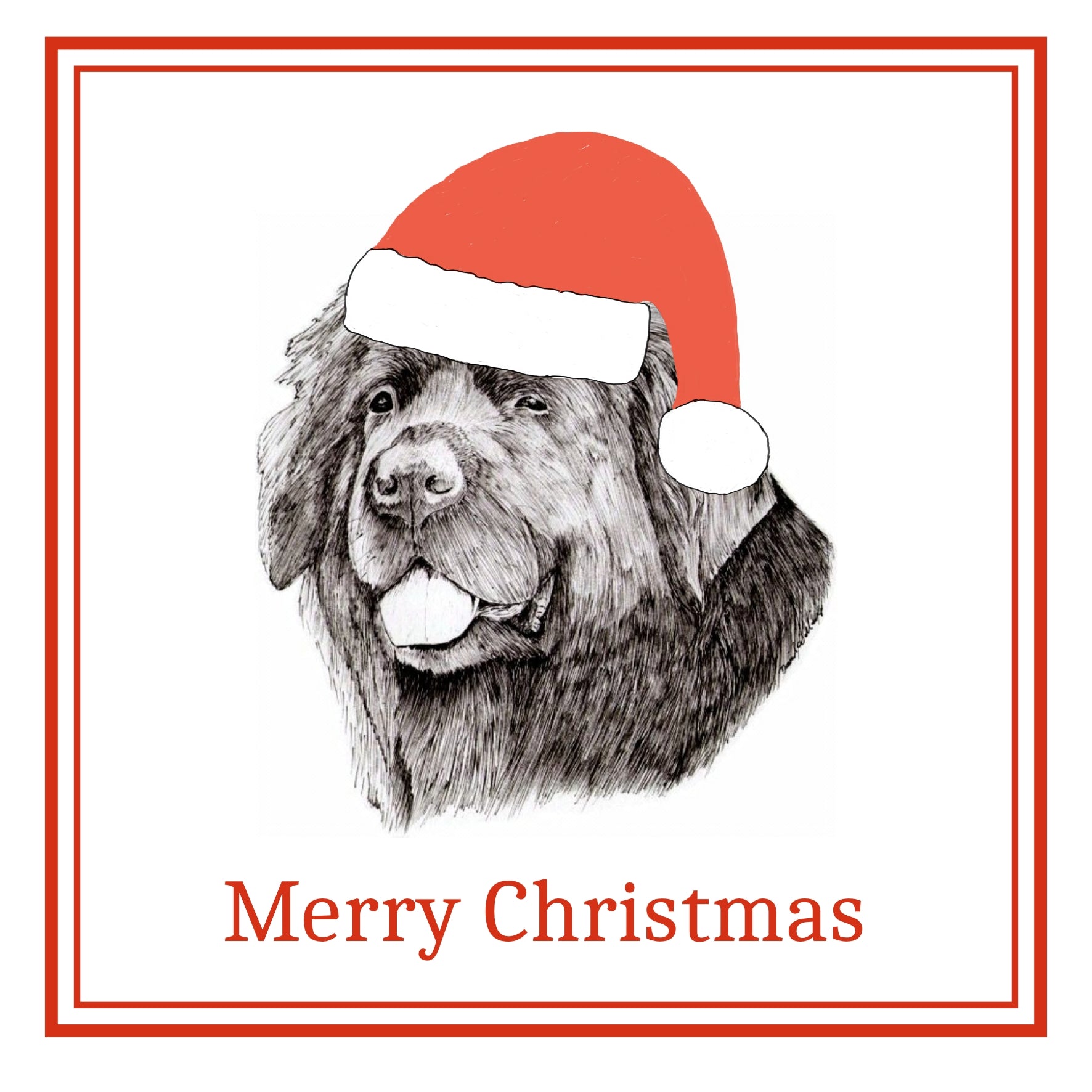 Newfoundland Christmas Card Choice of 3