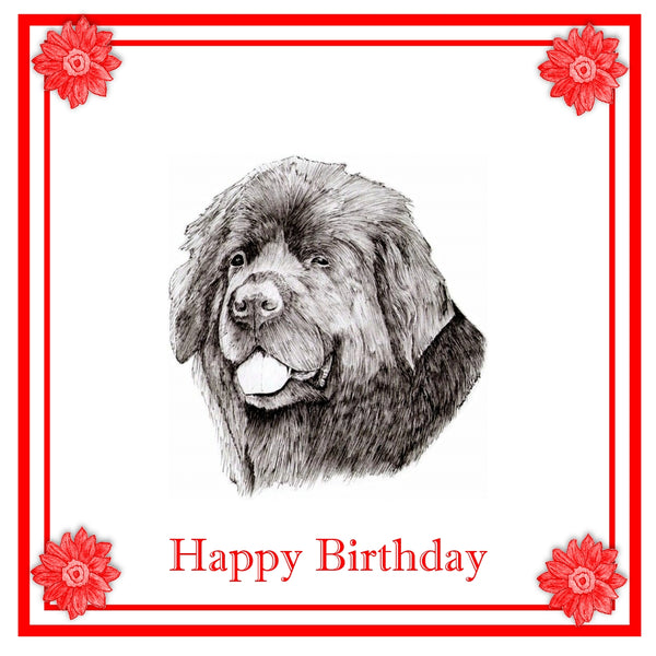 Newfoundland Greeting Card Choice of 6 Designs BIRTHDAY, THINKING OF YOU, BLANK