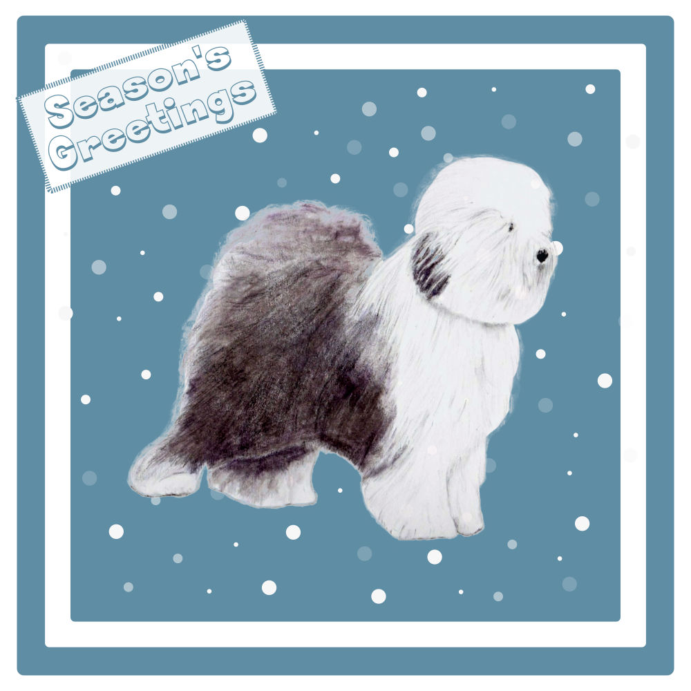 Old English Sheepdog OES Christmas Card Choice of 3 Card Designs Single or Multi Pack