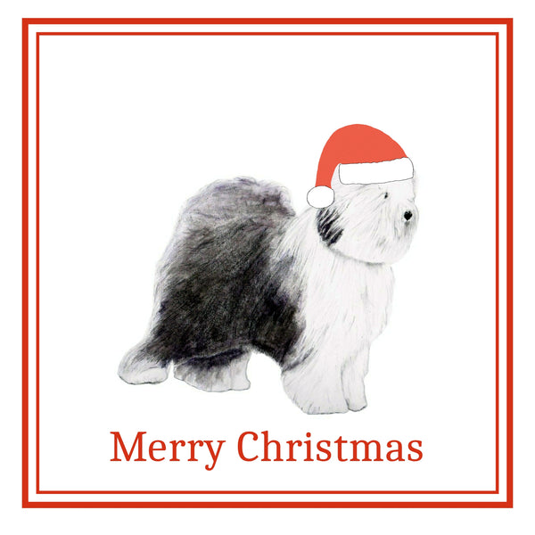 Old English Sheepdog Christmas Card Choice of 3