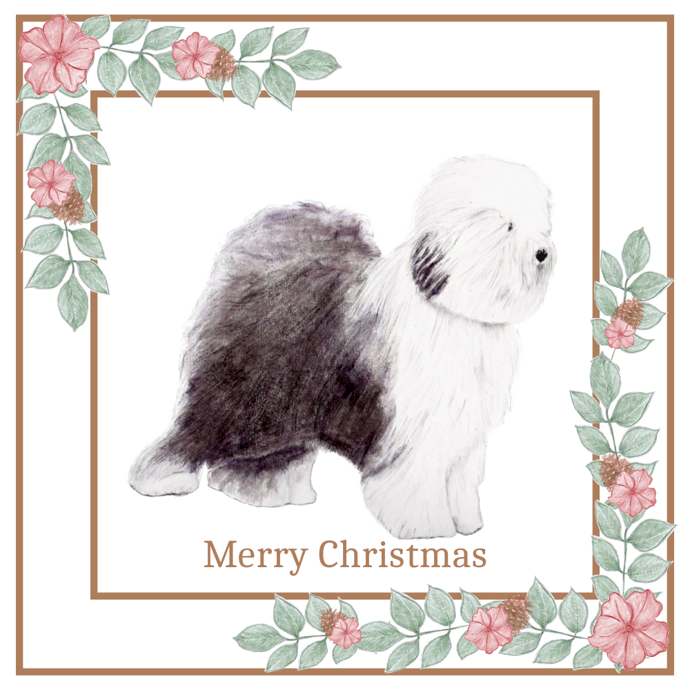 Old English Sheepdog OES Christmas Card Choice of 3 Card Designs Single or Multi Pack