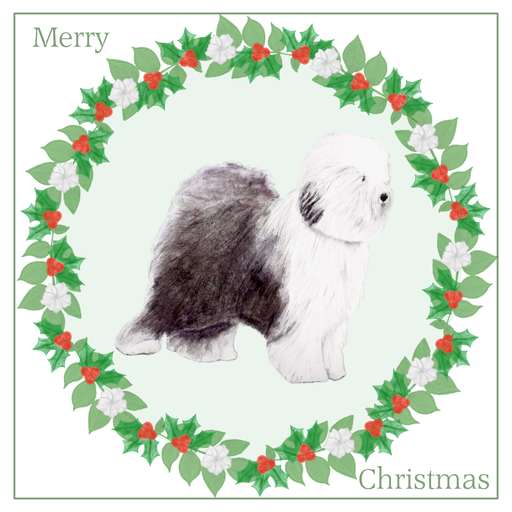 Old English Sheepdog OES Christmas Card Choice of 3 Card Designs Single or Multi Pack